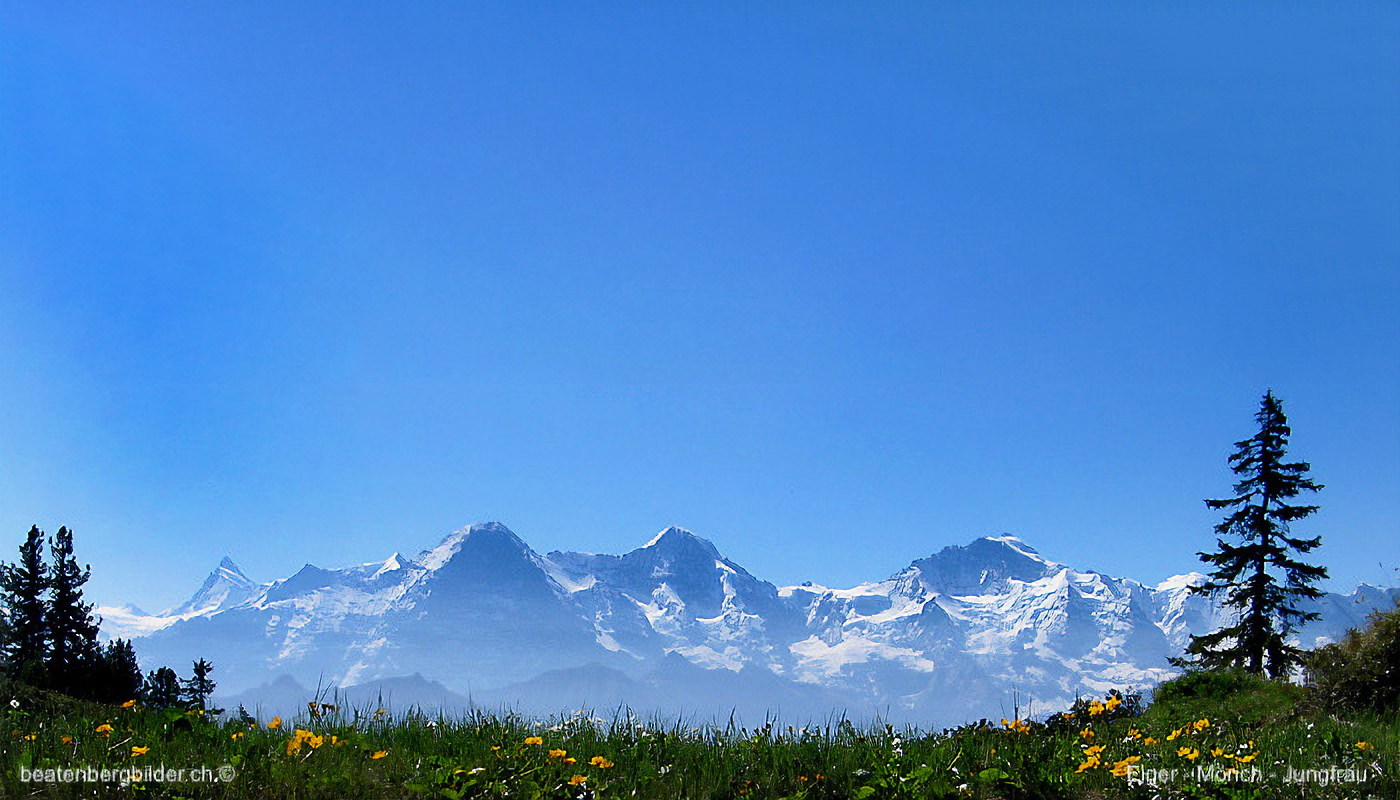 Panoramabild von Eiger Mönch & Jungfrau